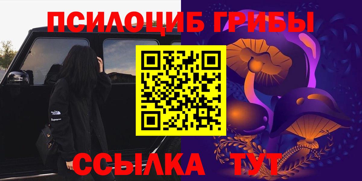 Галлюциногенные грибы мицелий  Вход с VPN  Заводоуковск 